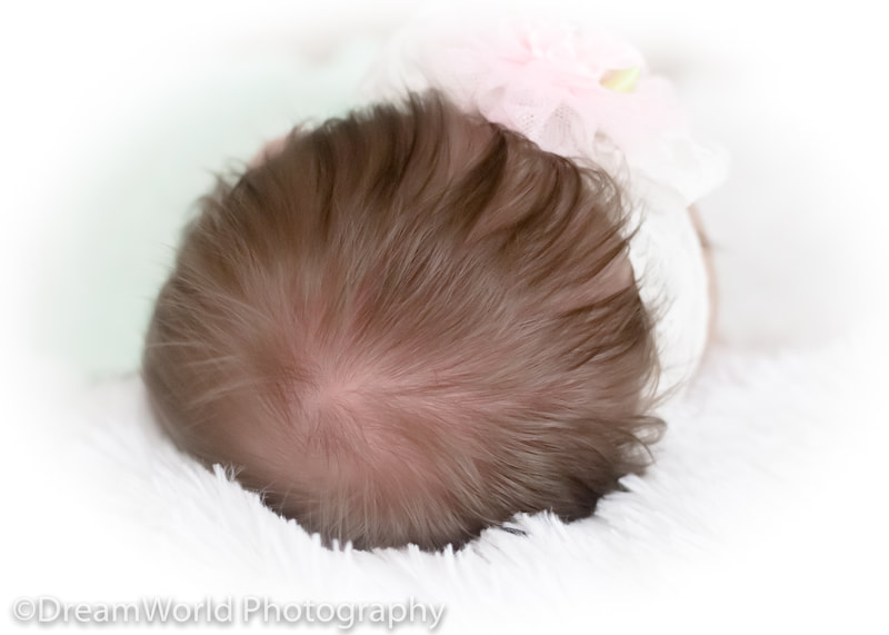 Baby's head of hair